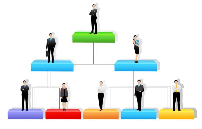 Common Organizational Structures Seen in Small Businesses 696x444